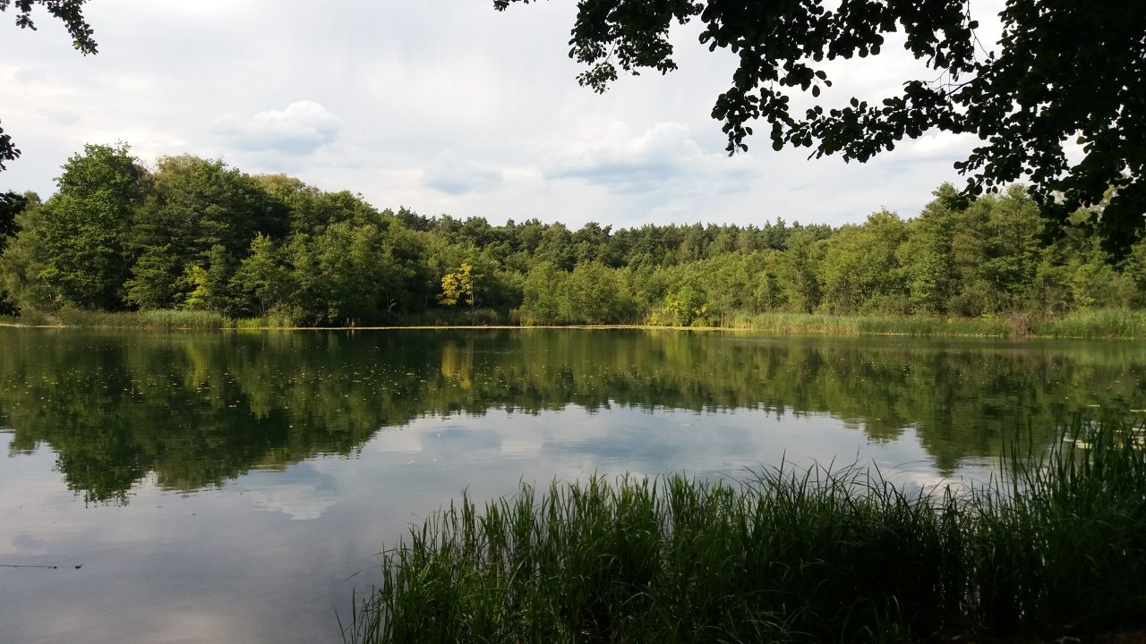 Großer Bukosee