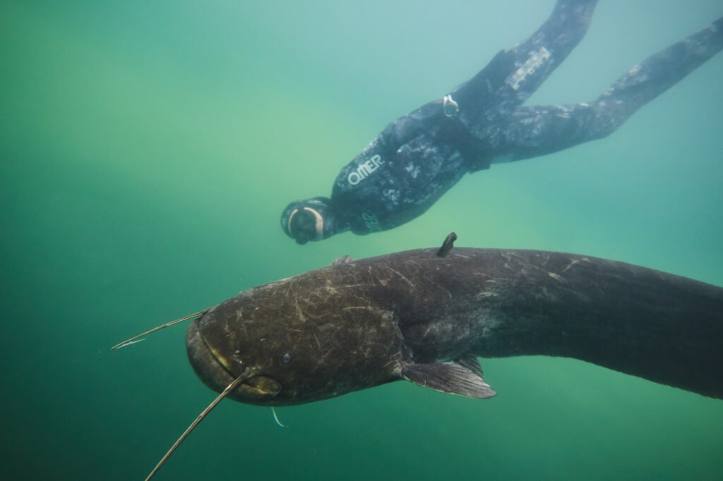 Freediving Ausflüge