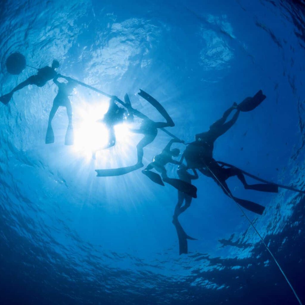 Freediving Instructor